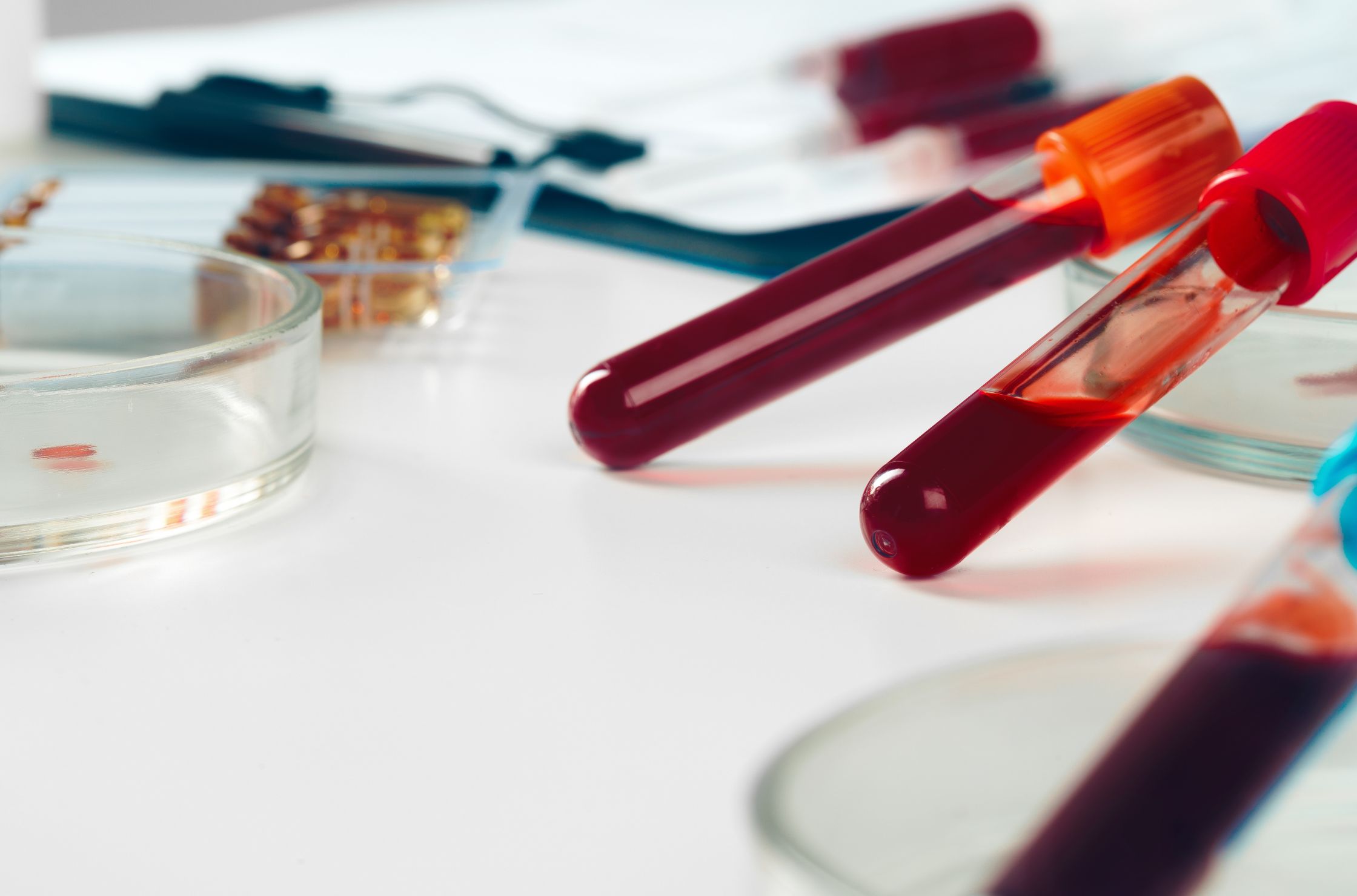 blood tests Adelaide