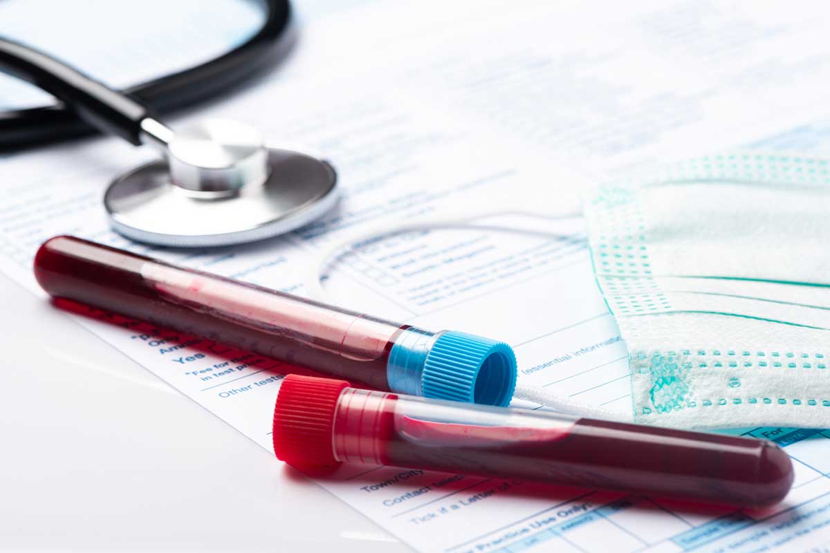 Blood Test Results Explained Adelaide