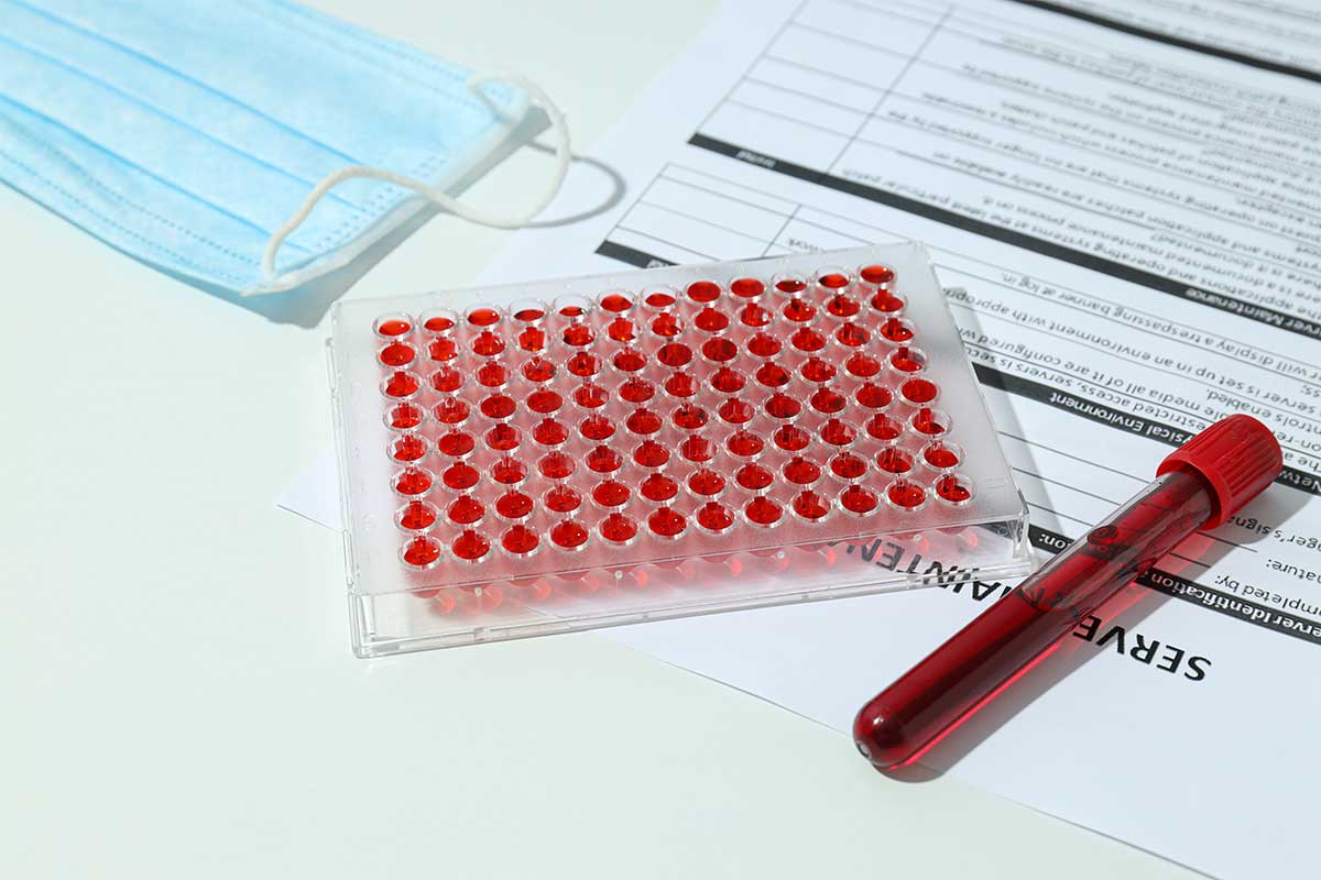 Blood Test Results Explained Adelaide